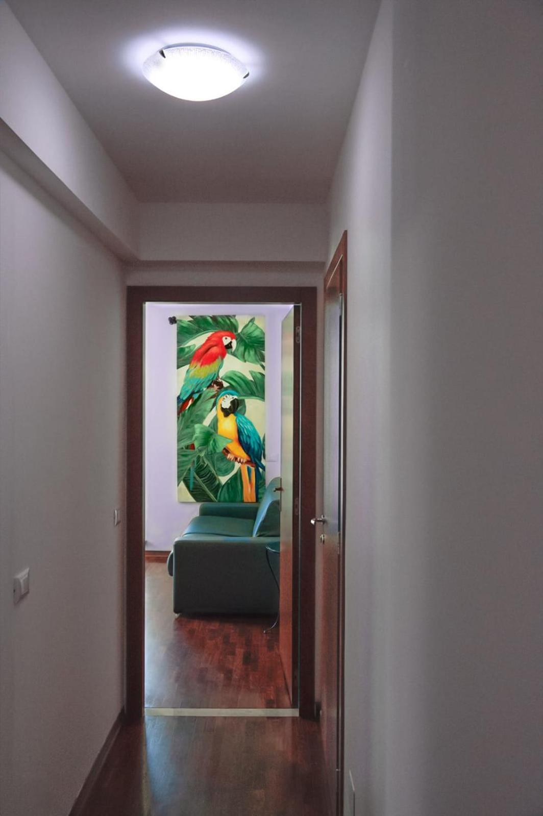 Amanti Due Apartments Verona Eksteriør billede